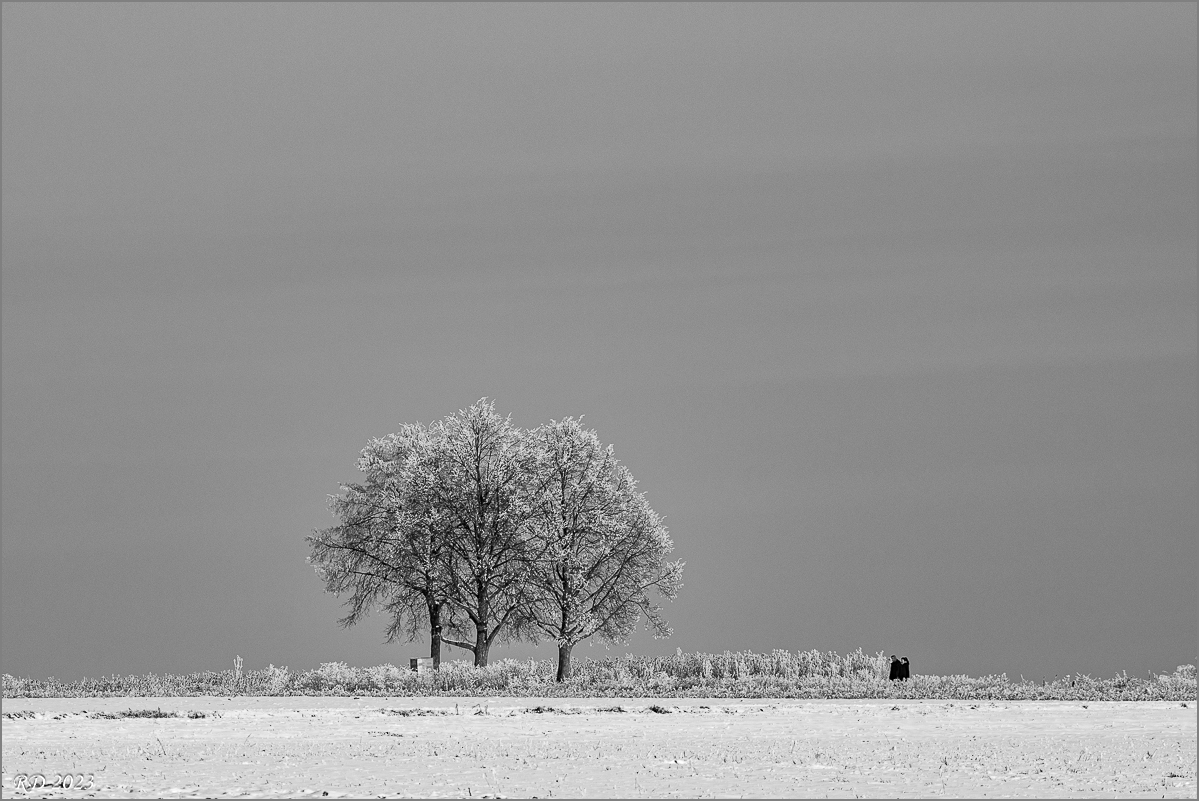 D50_8766.jpg