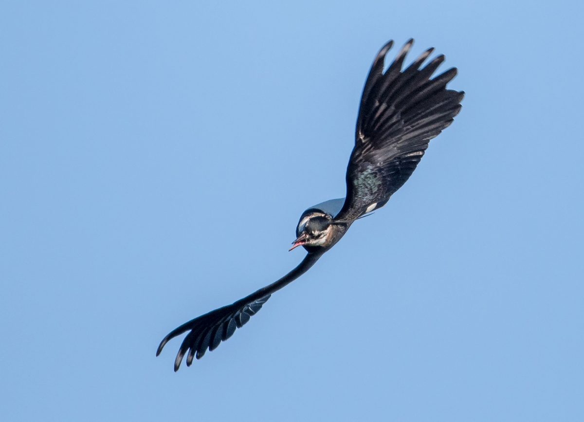 D50_9651_SpiralflugIA_4_2019.jpg