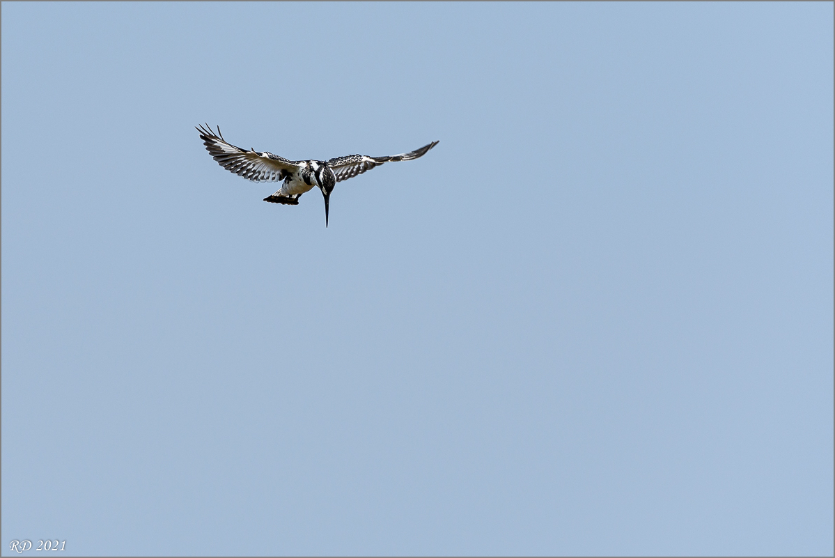 D50_9892.jpg
