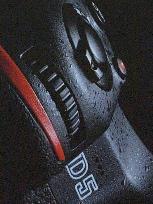 D5D 1599 crop+3EV