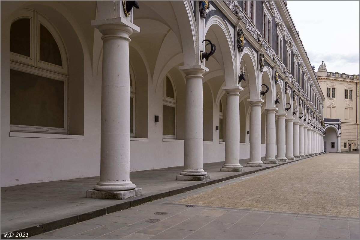 D60_2865.jpg
