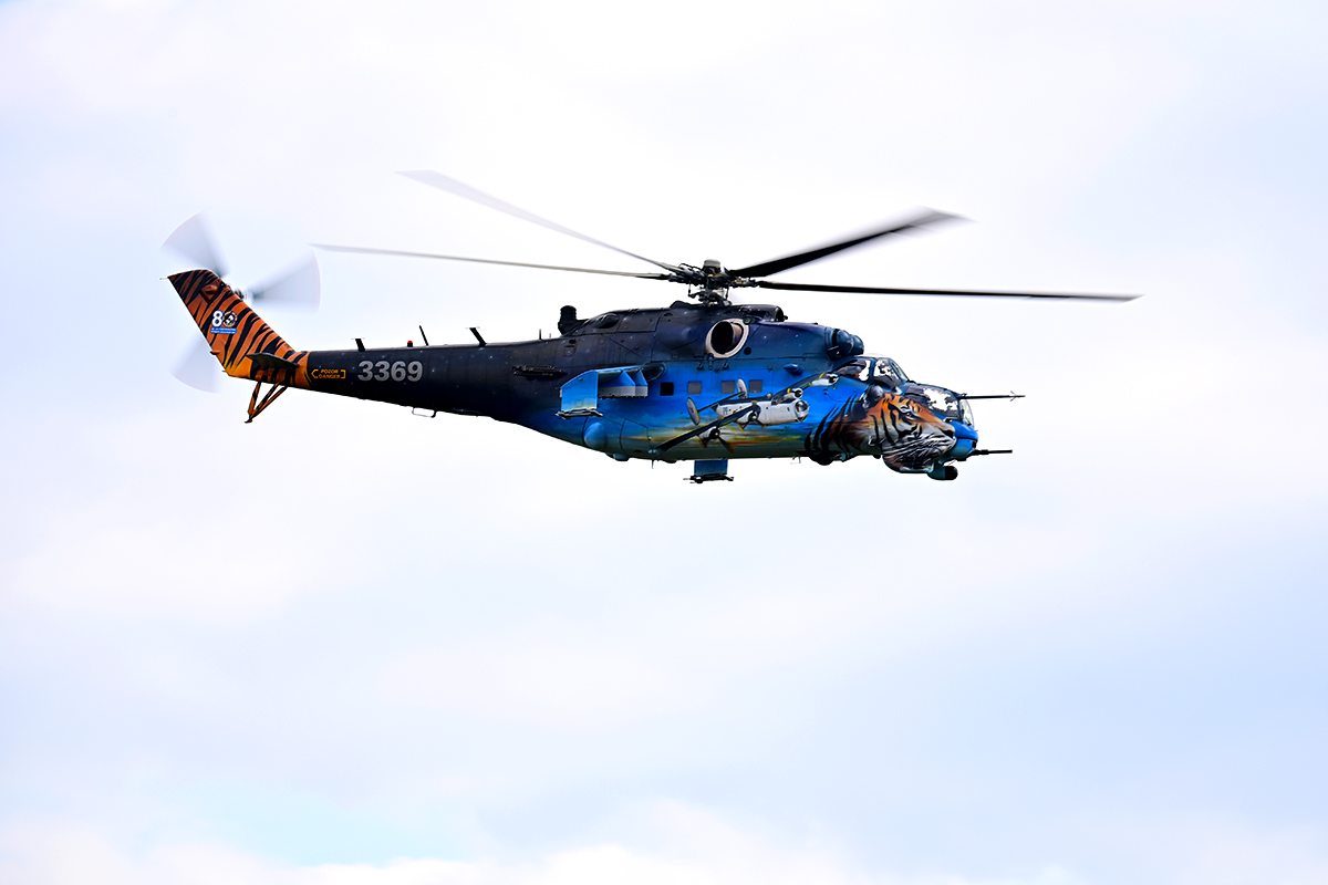 D6_13222.jpg