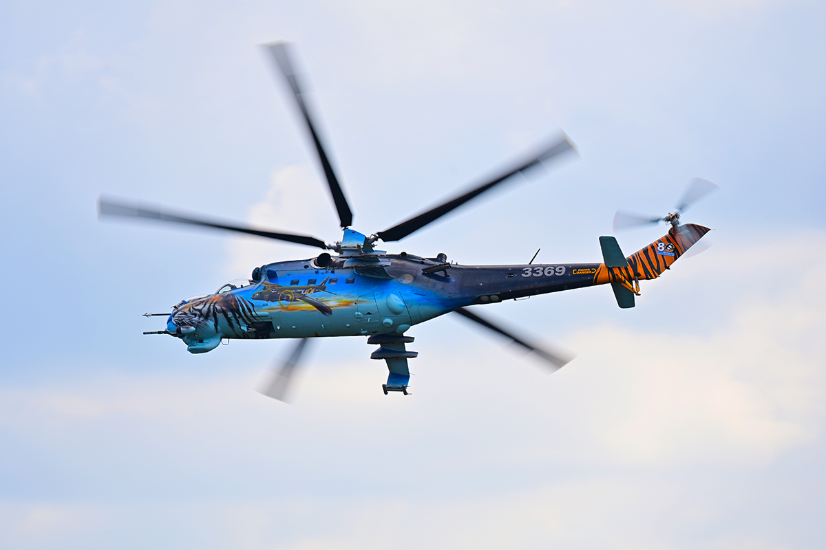 D6_13265.jpg