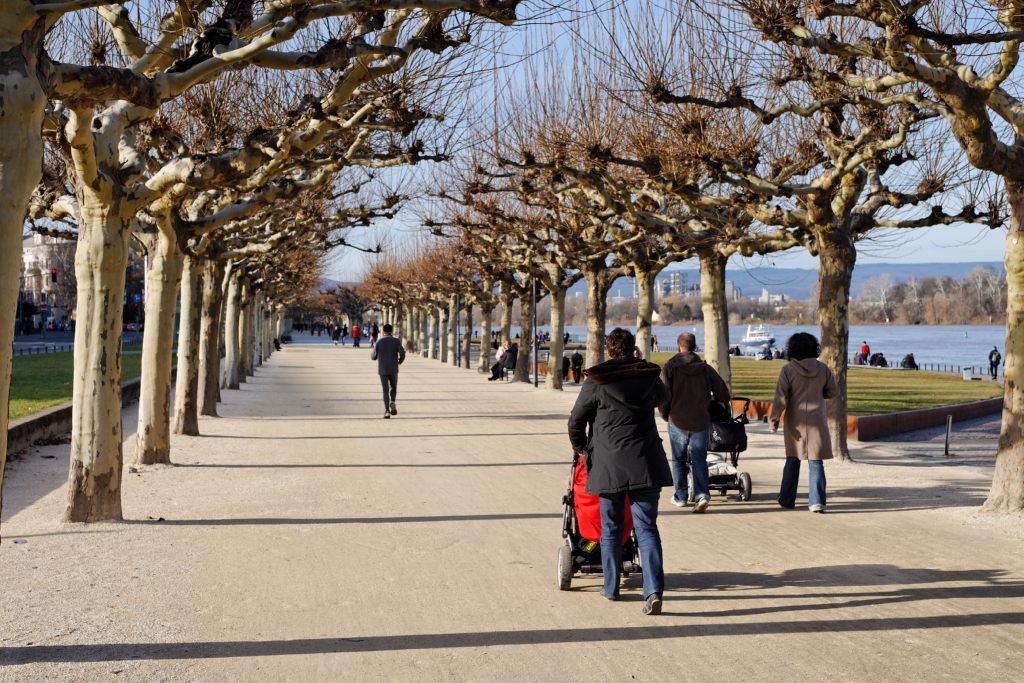 D70 77482