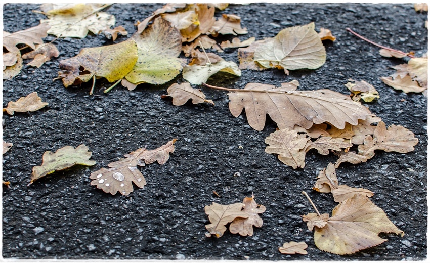 D70 8695 111