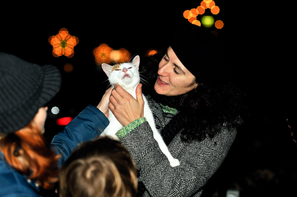D700FX mit 85mm 1.8D - cat&amp;flash

Blende: 1:2.8
Belichtung: 1/100s
ISO: 200

Blitz: SB900 (-2.0LW)