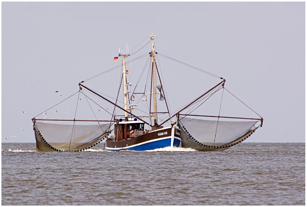 D71 0147 Kutter Cux