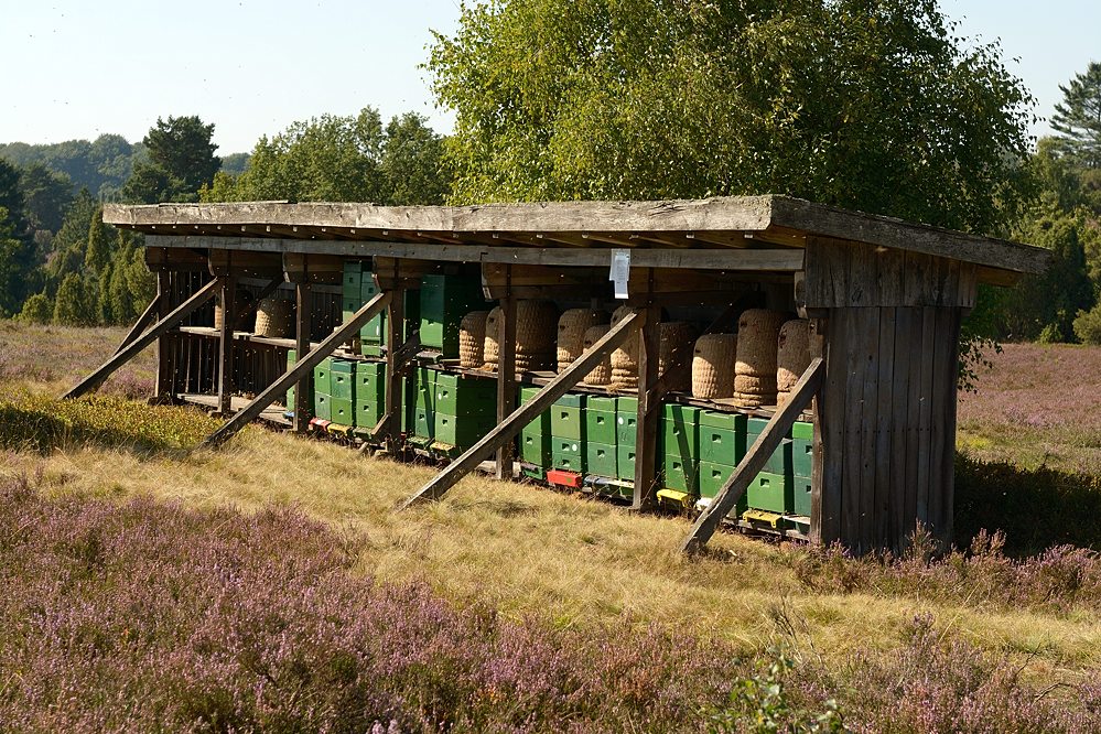 D71 1291