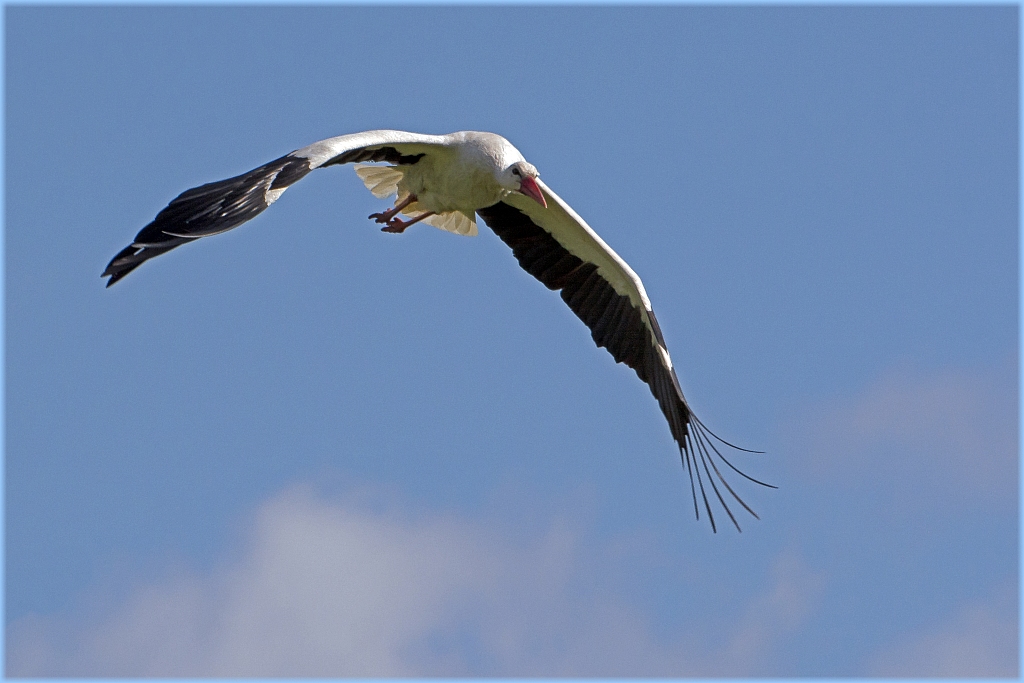 D71 6162 Abflug V