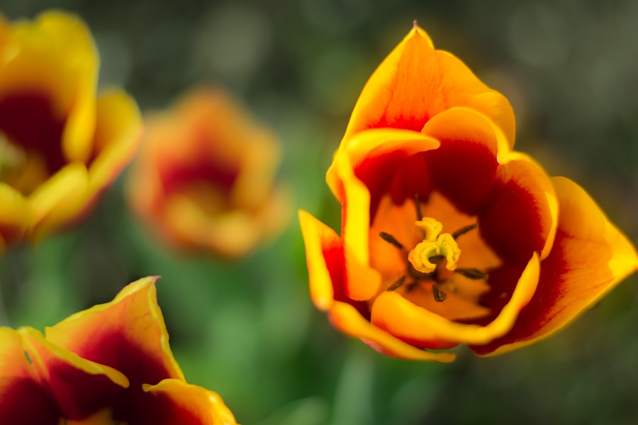 D7100