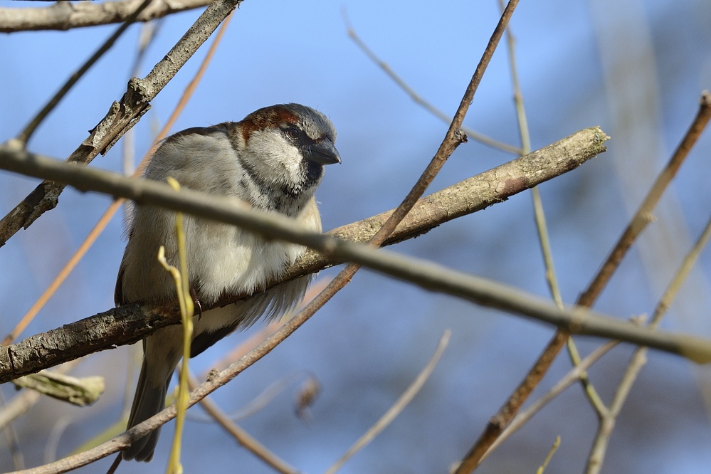 D710069