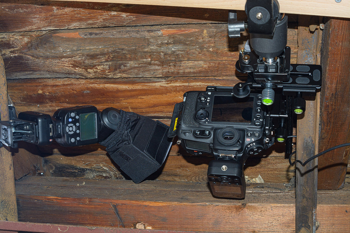 D71_1227.jpg