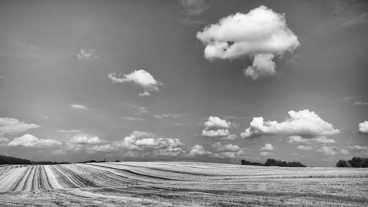 D71_6419x.JPG
