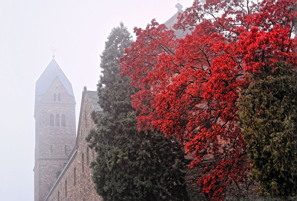 D72 1163 DxO StHildegard im Nebel 1000px