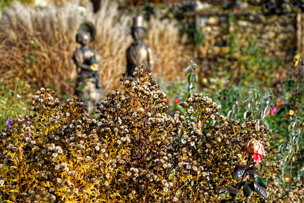 D72 1354 DxO 1000px