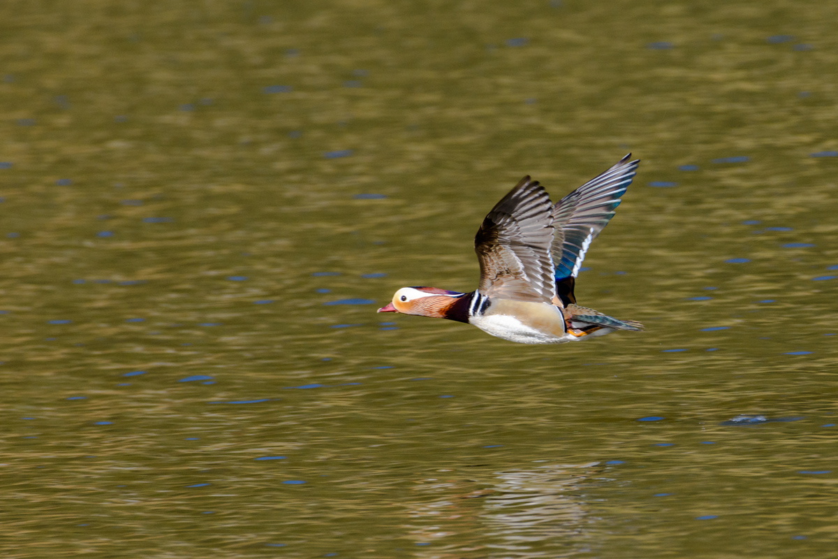 D72 5881