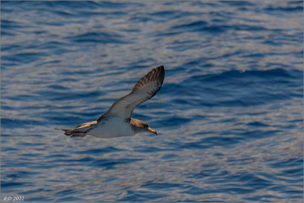 D72_0399.jpg