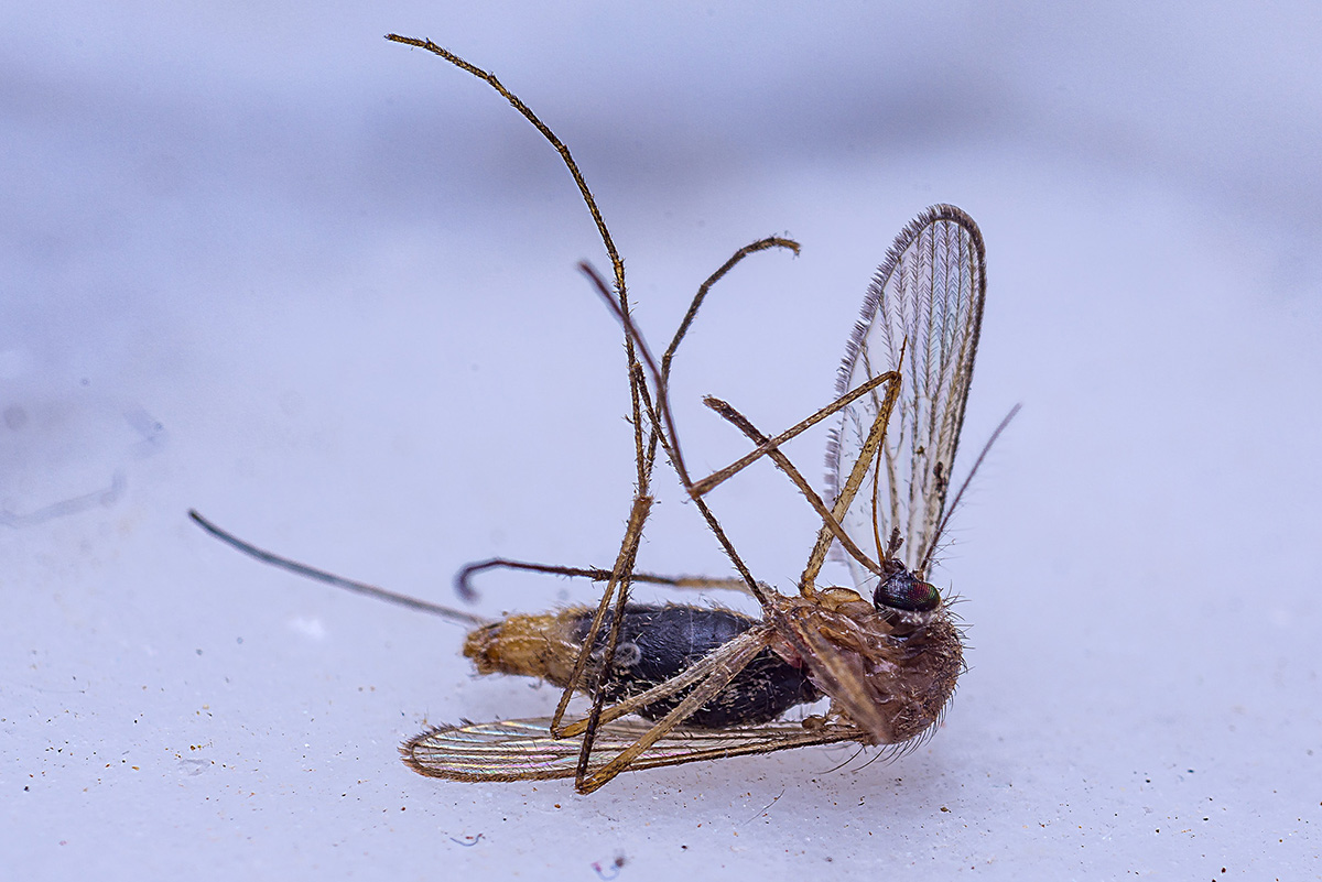 D72_0497x.jpg