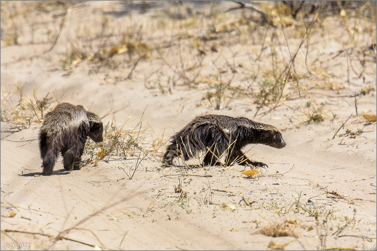D72_1461-Bearbeitet.jpg