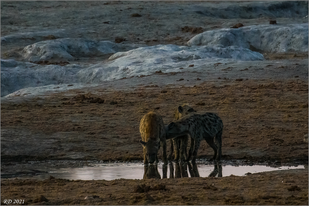 D72_1756-Bearbeitet-Bearbeitet.jpg