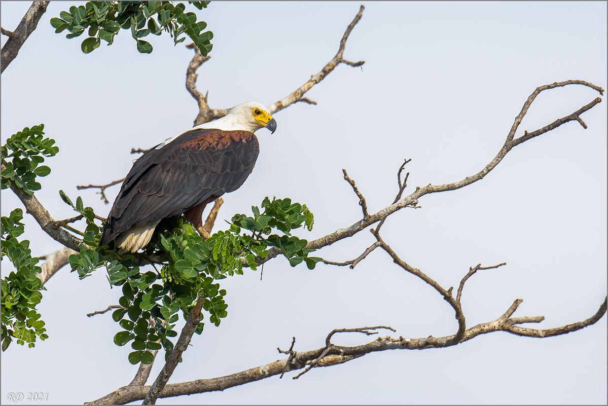 D72_2587-Bearbeitet.jpg