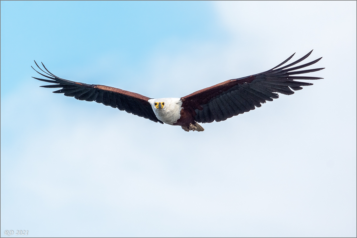 D72_2630-Bearbeitet.jpg