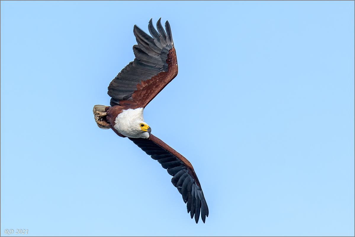 D72_2633-Bearbeitet.jpg