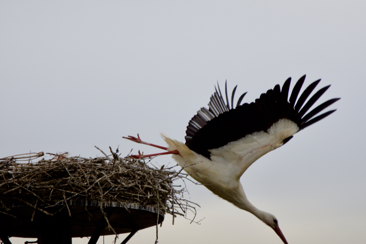 D72_4402.jpg