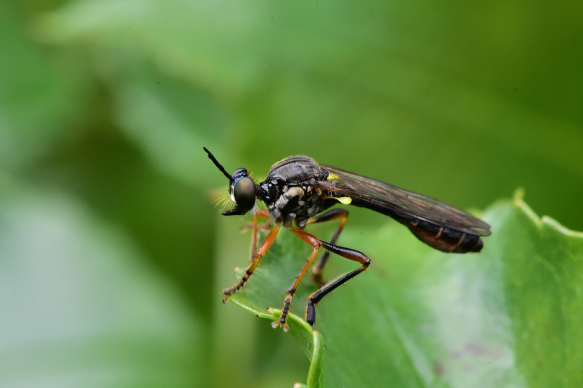 D72_4626.jpg