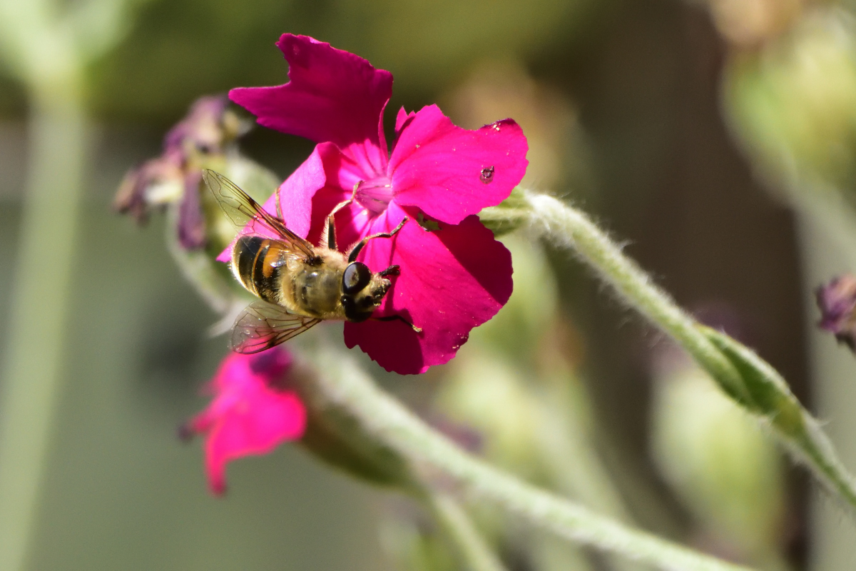 D72_4721.jpg