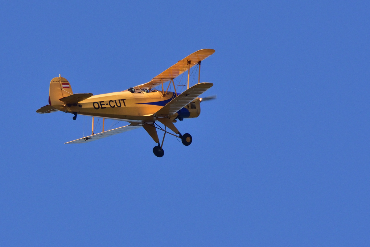 D72_4917.jpg