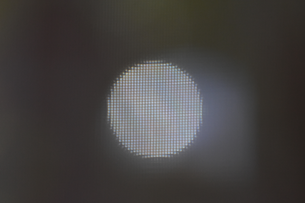 D72_5582.jpeg