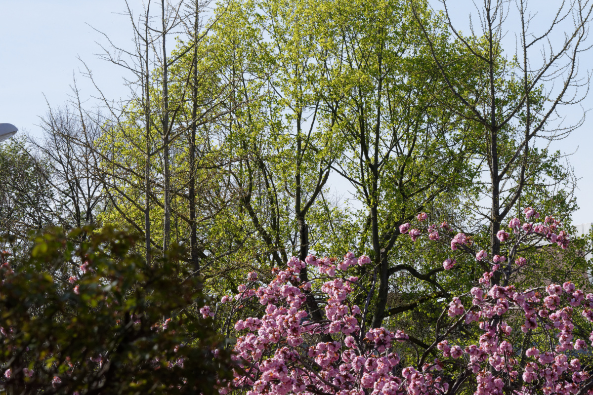 D72_5593_DxO.jpg