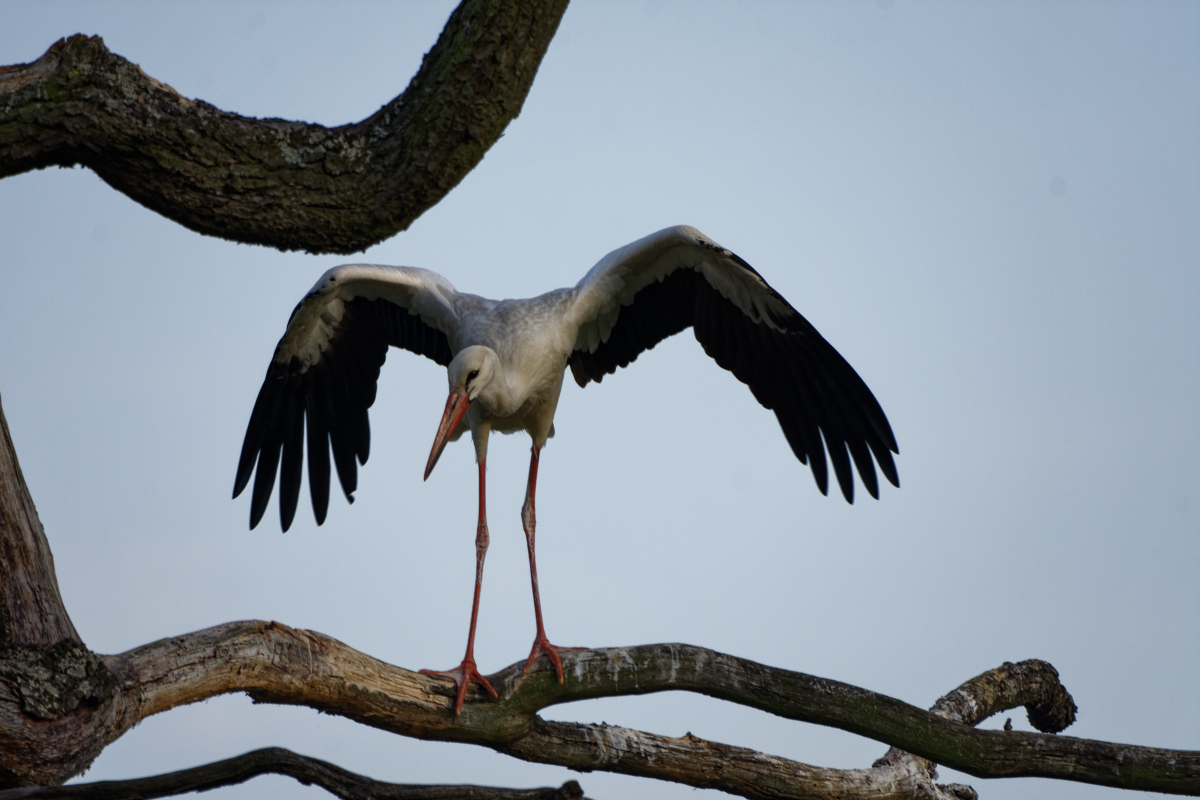 D72_5942_DxO.jpg