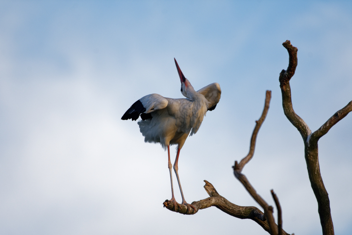 D72_6005_DxO.jpg