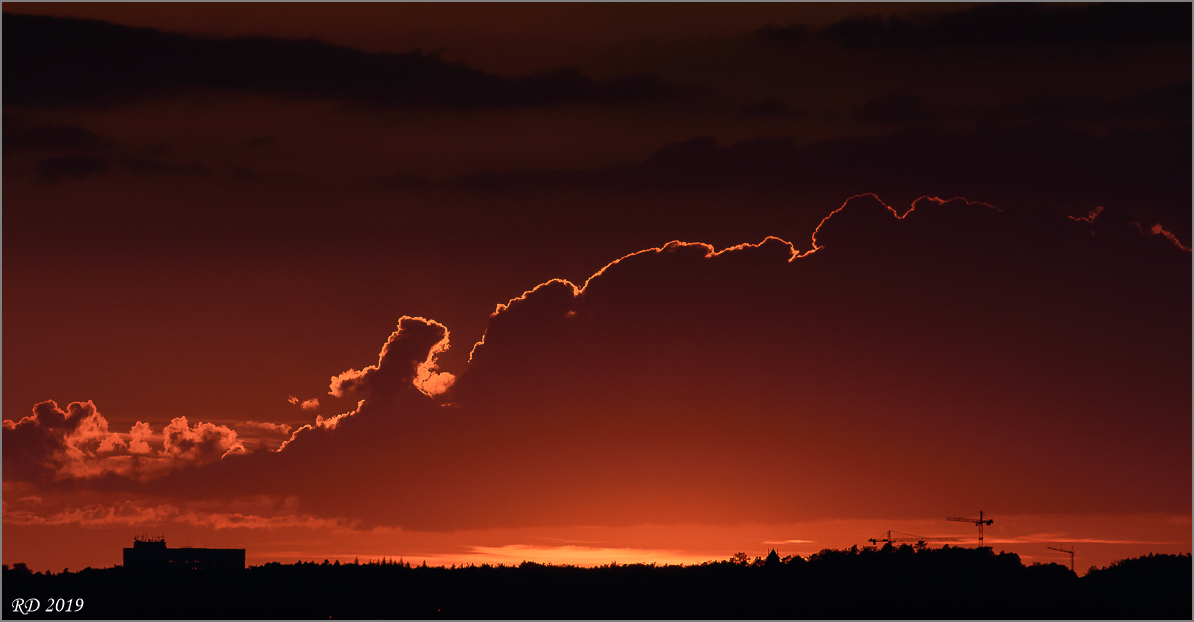 D72_8678.jpg