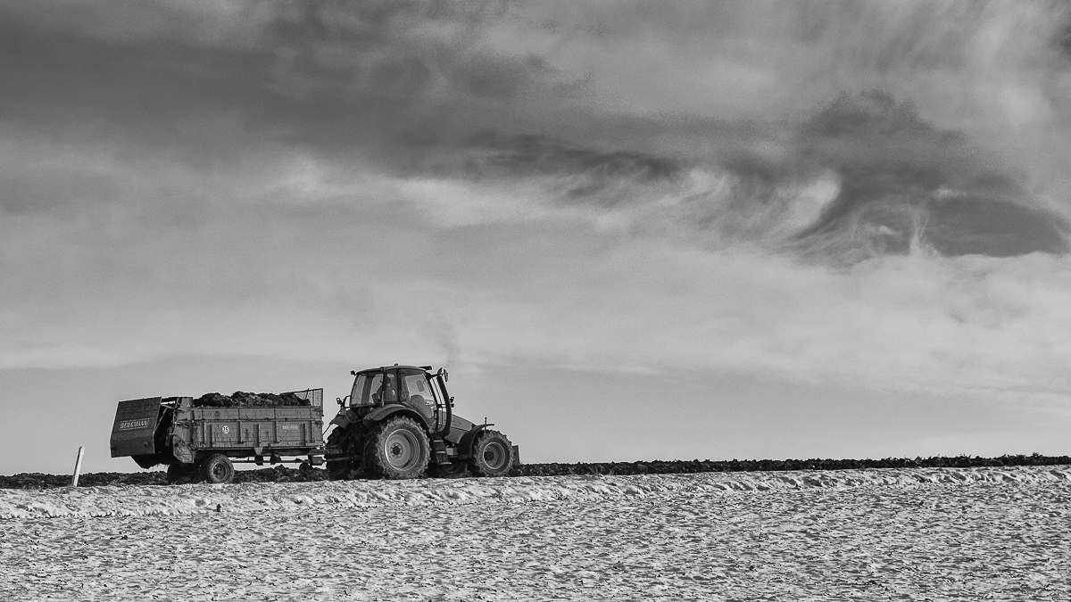 D75 4675x