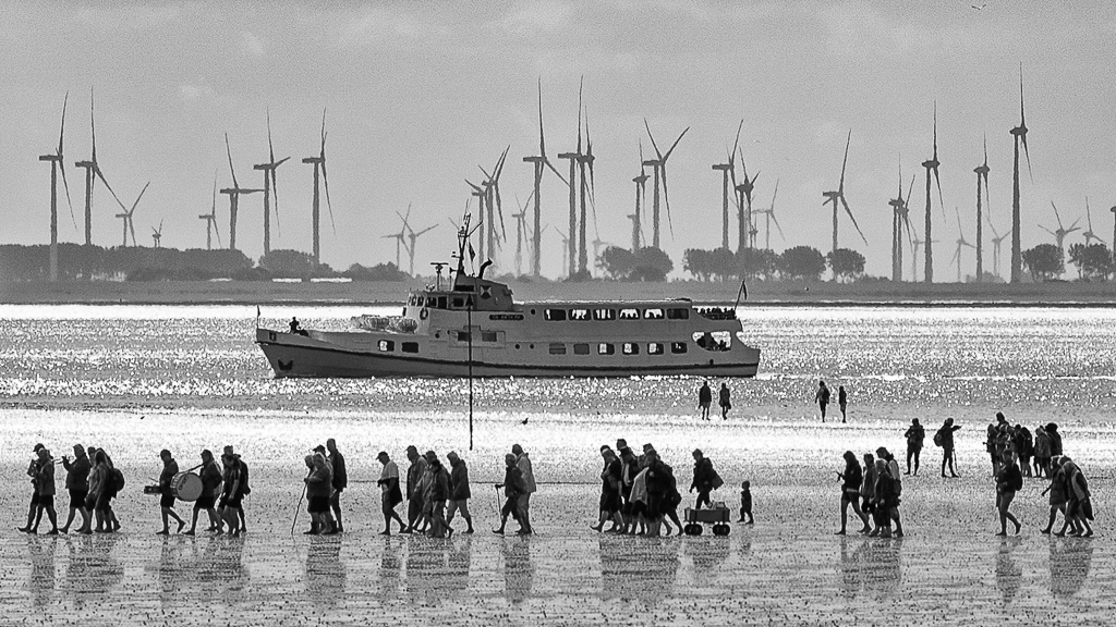 D75 9401x