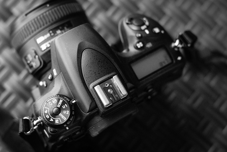 D750 002