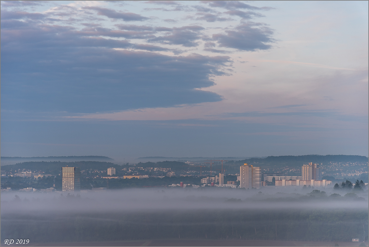 D75_0551.jpg