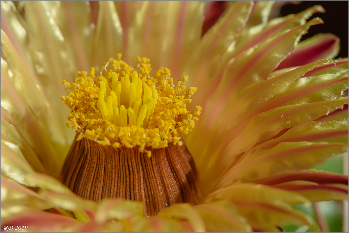 D75_0574.jpg