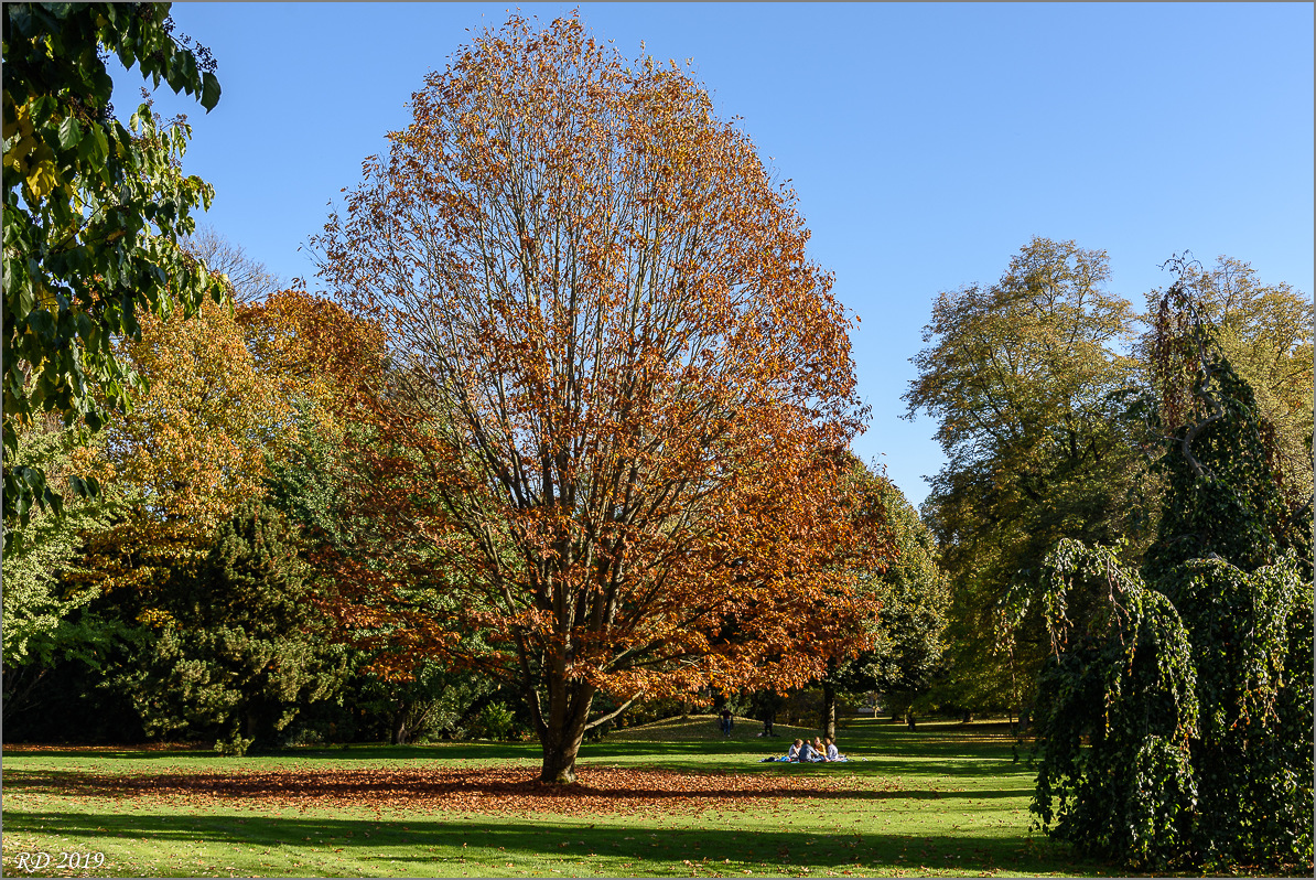 D75_0636.jpg