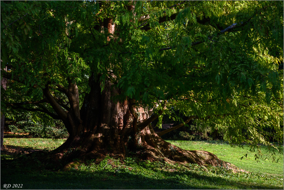 D75_0661.jpg