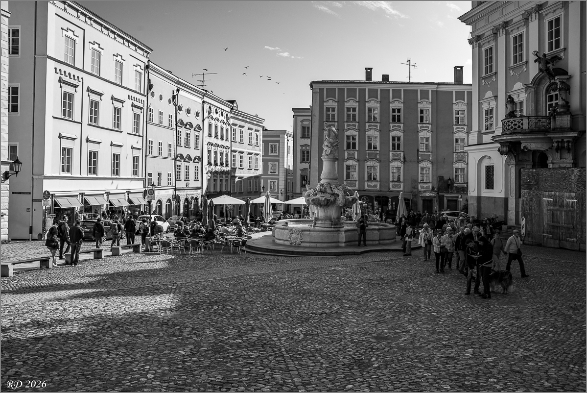 D75_0661.jpg