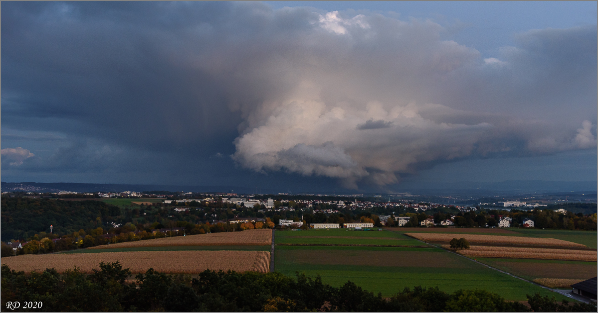 D75_2477.jpg