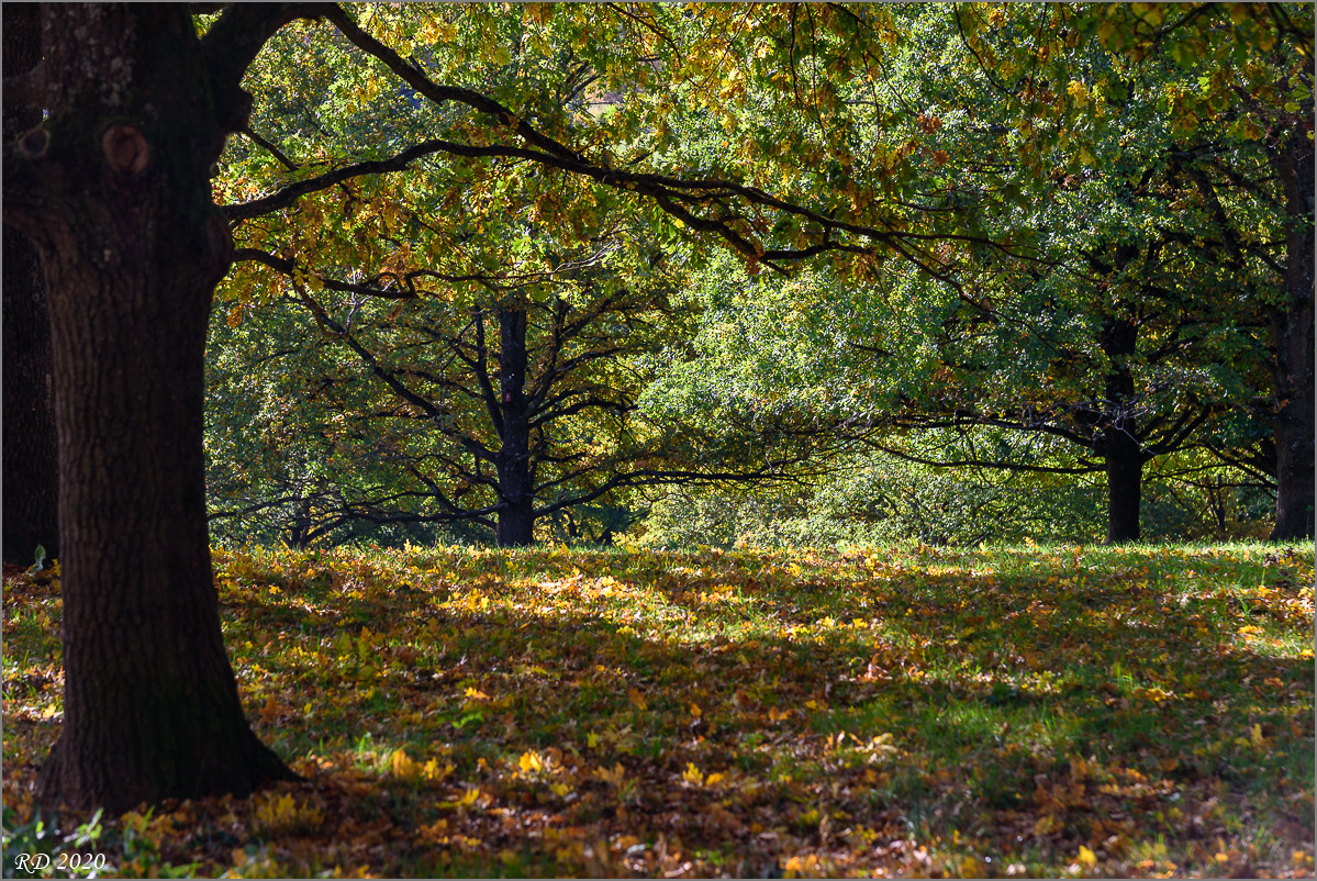 D75_2549.jpg