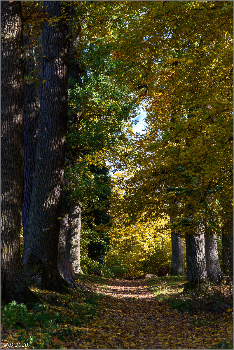 D75_2560.jpg