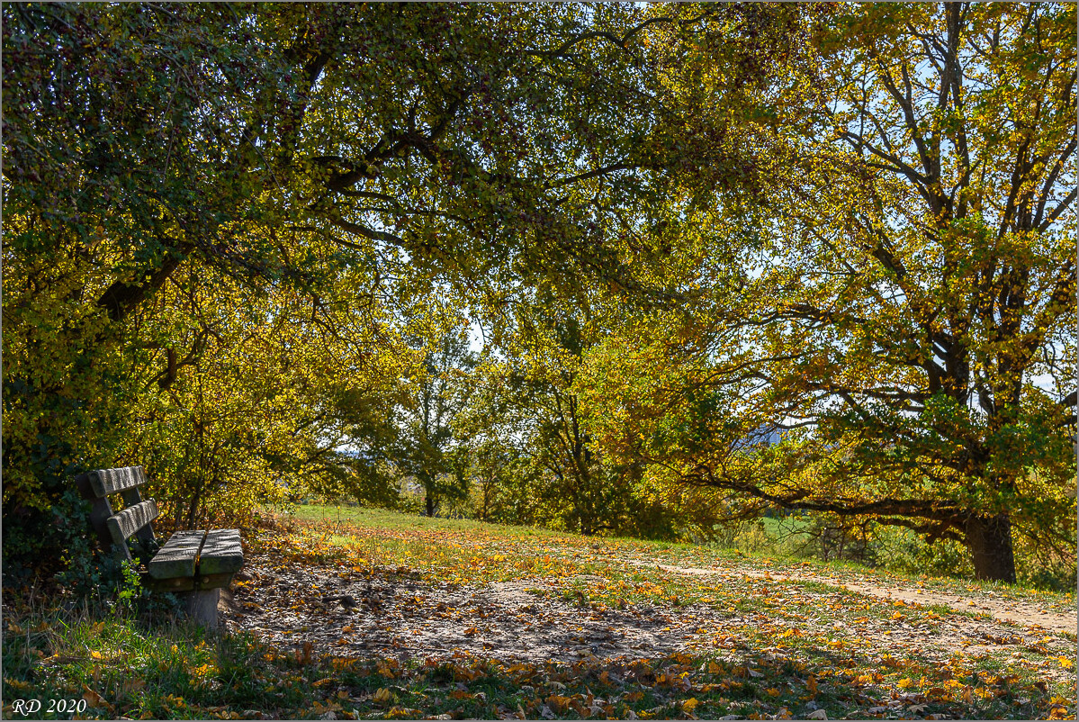 D75_2570.jpg