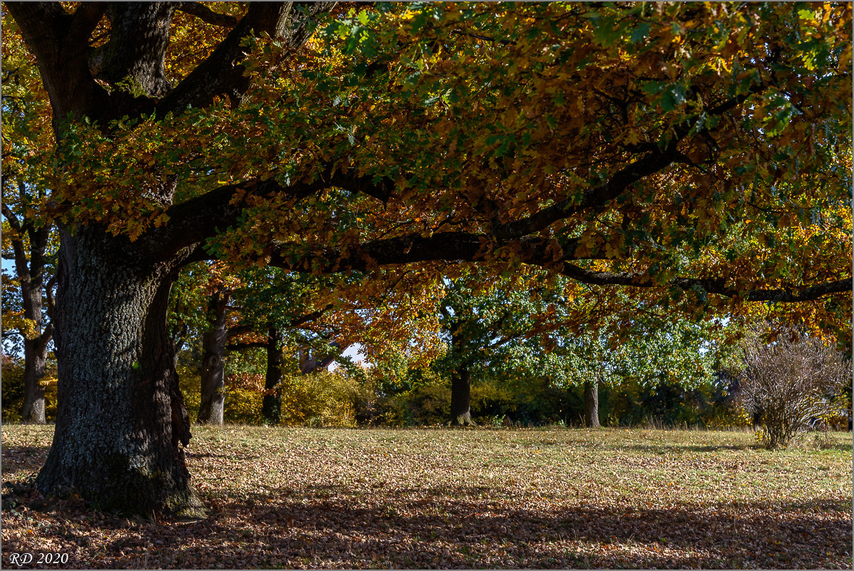 D75_2571.jpg