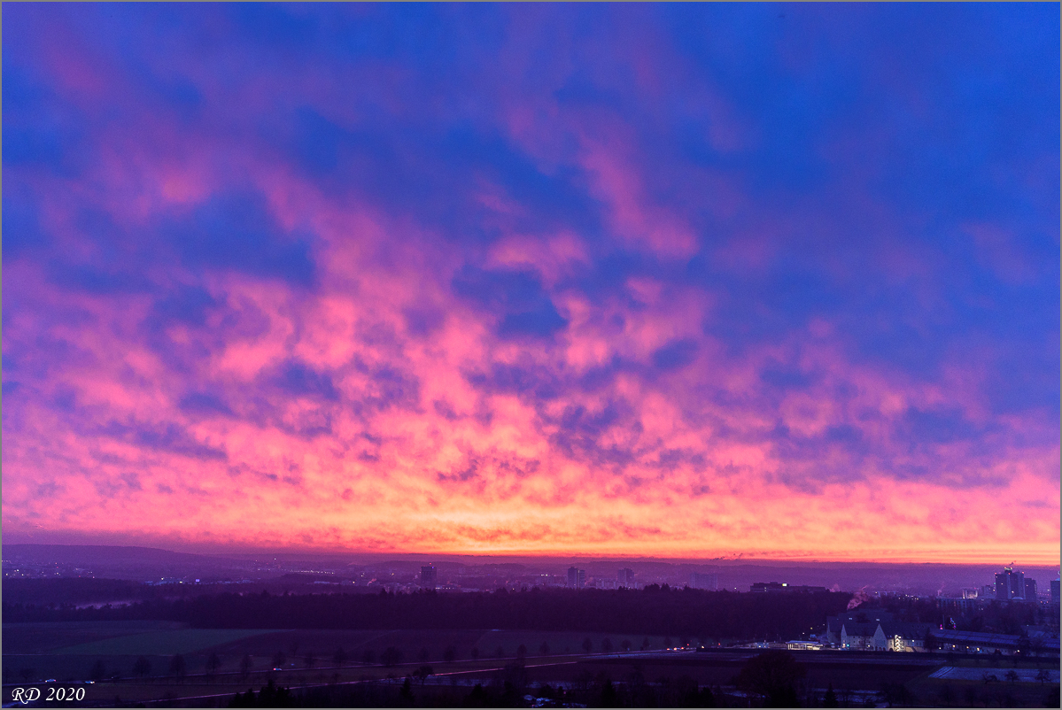 D75_2668.jpg